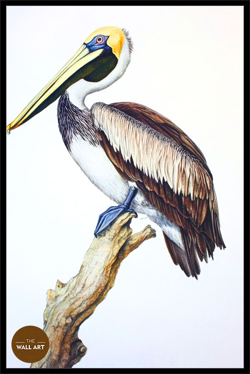images/products/pelican_on_branch/pelican_on branch_BLACK_P.jpg